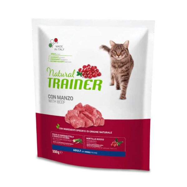 NT CAT ADULT BEEF su jautiena 300g - Image 1